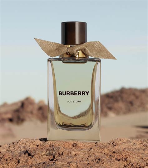 burberry oud storm|Burberry storm odour.